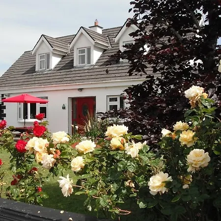 Bed & Breakfast Briar 5*
